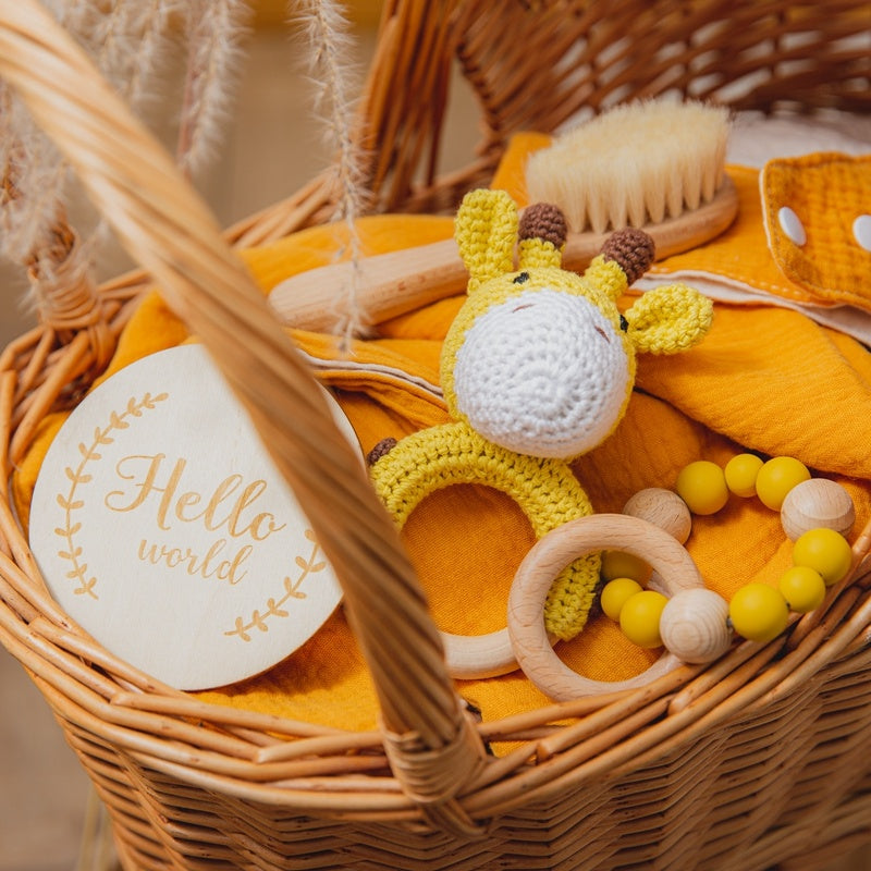 Baby Toy Gift Set